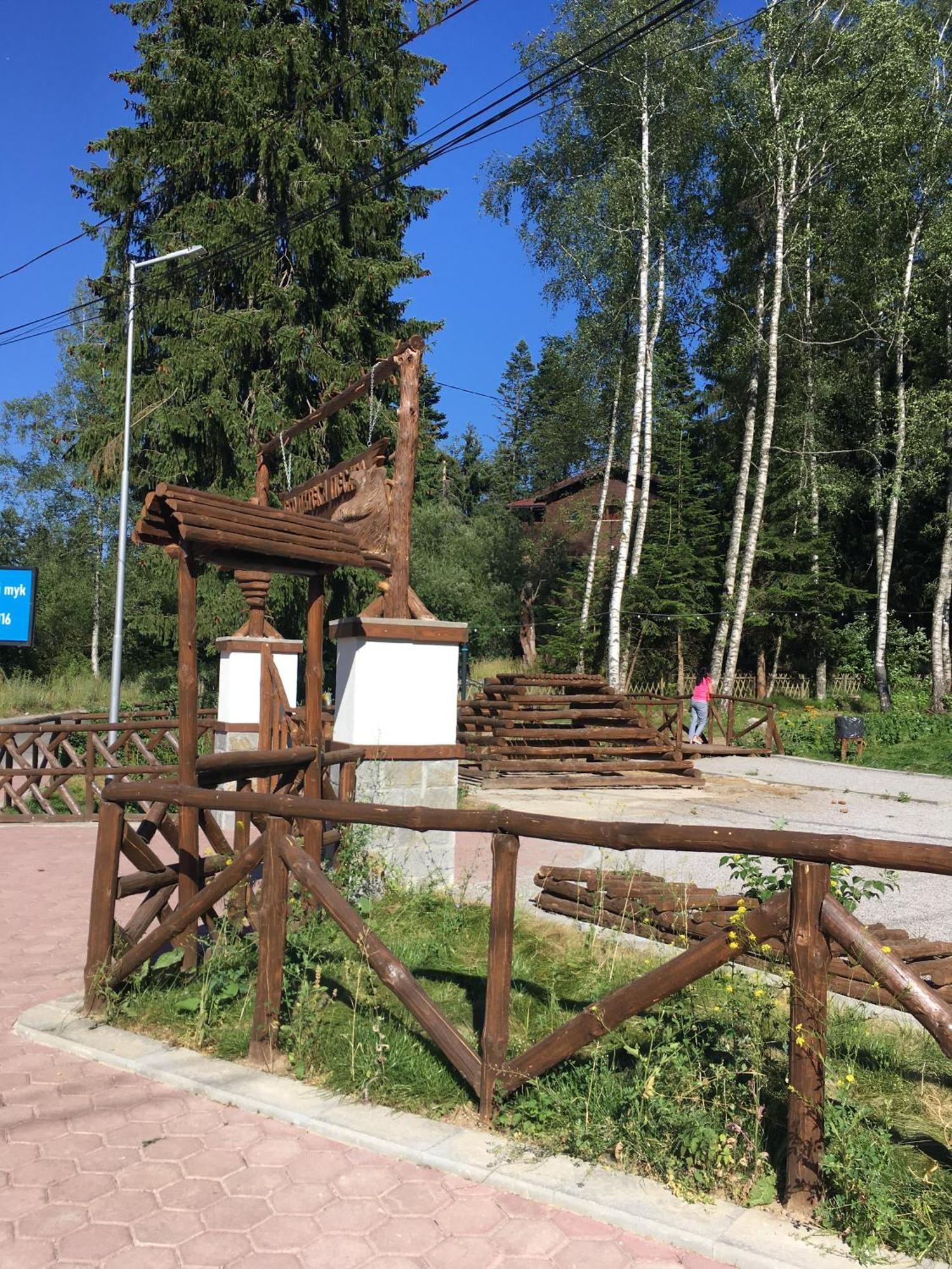 Villa Park - Beniart Studio - Nr 109 - Near Gondola Lift Boroveț Exterior foto